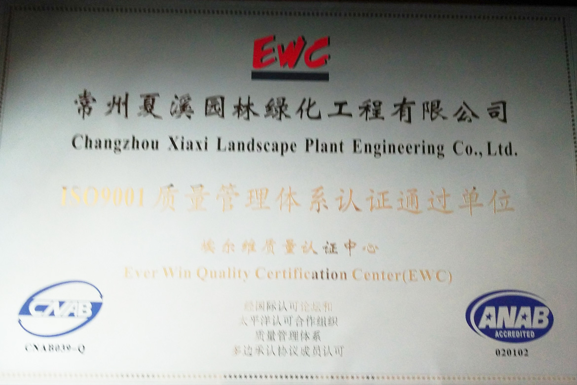 ISO9001質量管理體係認證